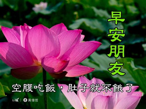 打麻將 梗圖|[閒聊] 長輩的麻將俚語